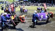 国重要無形民俗文化財「塩原の大山供養田植」8年ぶり公開 牛馬弔い豊穣願う