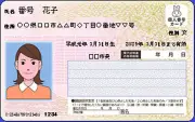 マイナカード自主返納93万枚、本人希望で廃止 ポイント効果は2.4兆円