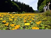 福島県内でAIを活用した新たな地域活性化プロジェクト始動