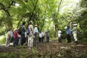 皇居・吹上御苑で自然観察会、みどりの日に豊かな森を散策