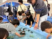 福島県で新たな地震活動、専門家が注意喚起