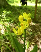 福島県で新たな地震活動、専門家が注意喚起