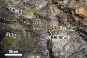 北海道の地層から恐竜絶滅の痕跡発見、北東アジアで初