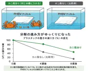 カニ殻で海洋生分解性プラスチックの寿命制御、群馬大などが新技術