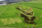 信楽高原鉄道沿線の田んぼアート、担い手高齢化で当面休止へ 滋賀・甲賀市