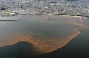 三河湾に紅色のグラデーション拡がる　愛知・蒲郡市沖で赤潮発生
