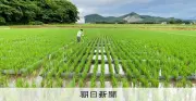 田んぼの雑草に農薬が効かない…「あえて」の作戦で壁を克服