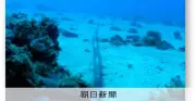 海底ケーブル防護策の骨子案、多ルート化や官民連携推進へ　総務省会議