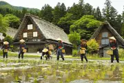 岐阜・白川村の合掌造り集落で田植え祭り、伝統の「結」の精神を再現