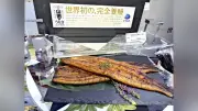 政府、半導体産業の国内強化へ新法制定 補助金拡充で生産拠点確保