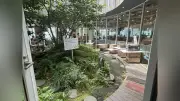 大阪・梅田「ヤンマー本社ビル」屋上でミツバチ飼育、都市養蜂の今