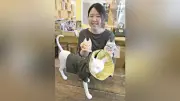 猫の抜けヒゲ飾る「うちの子ヒゲスタンド」考案　芸大出身グッズ作家が手掛ける