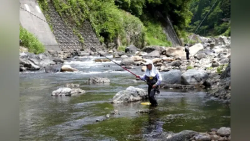 宮崎県・五ヶ瀬川でアユ漁解禁、20センチ超えに「塩焼きで食べたい」