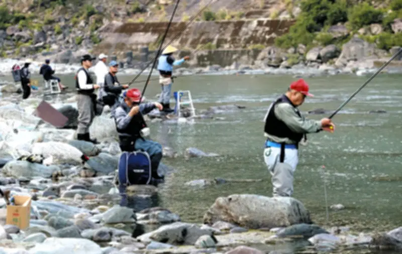 静岡でアユ釣り解禁、天竜川に太公望集まる 2026年6月1日