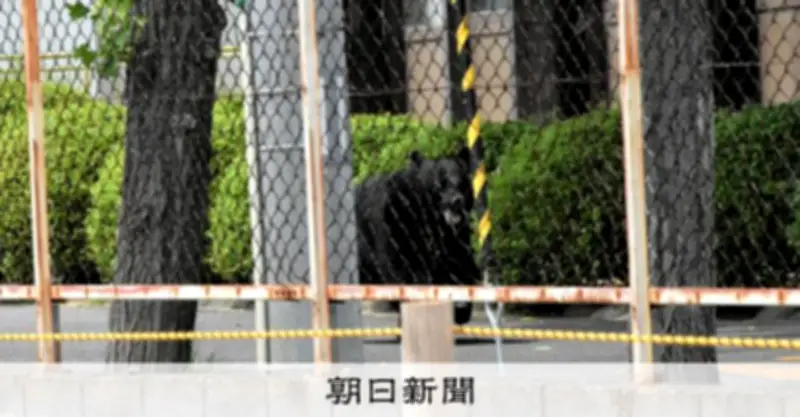 福島で4人襲ったクマ、事業所内に潜伏 ハンターとにらみ合い続く
