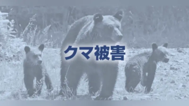 福島市でクマ襲撃、男女4人負傷 事業所や住宅地で相次ぐ