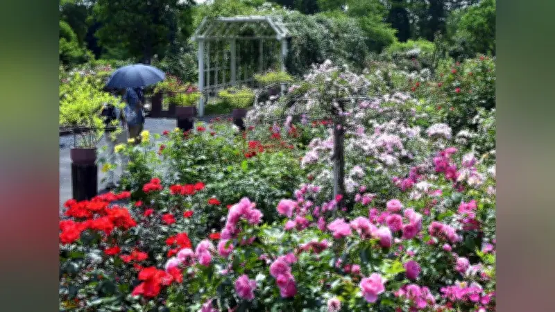 安芸高田市の湧永満之記念庭園で500種のバラ見頃、6月上旬まで