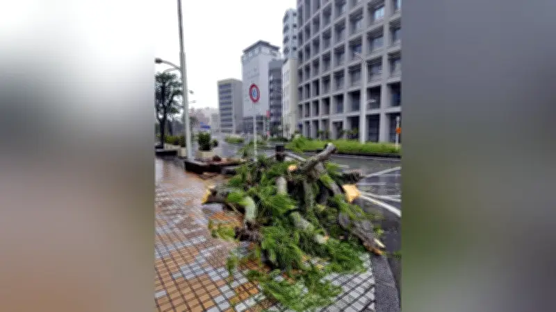 台風6号で沖縄4人軽傷、那覇空港全便欠航 九州接近へ