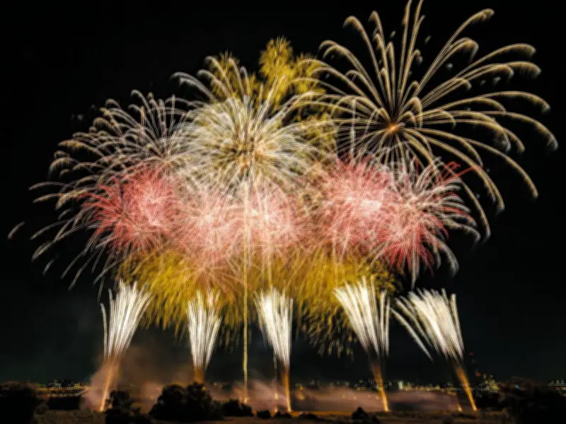 板橋花火大会、8月1日開催 戸田橋花火と同時に夜空彩る 有料席6日販売開始