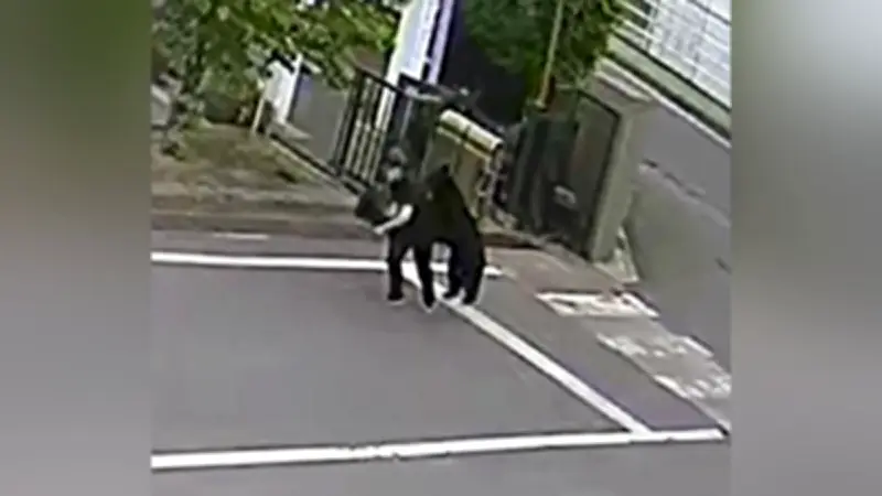 福島のクマ、電子機器工場に潜伏 麻酔銃やわなで捕獲試みるも難航