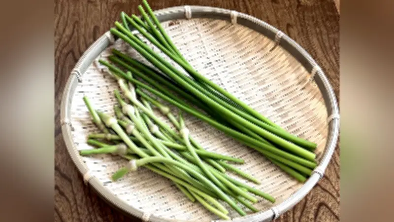 ニンニクの芽で疲労回復！栄養価とおすすめレシピを野菜ソムリエが解説