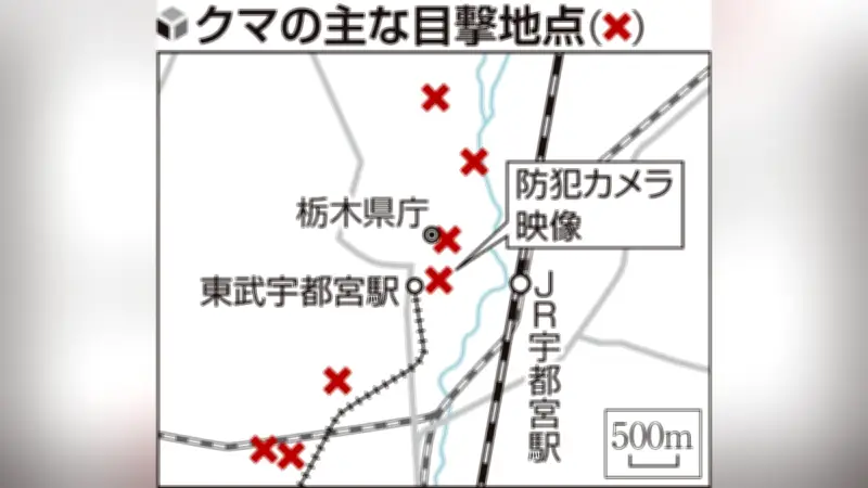宇都宮市中心部にクマ出没、県庁や商店街で相次ぎ目撃