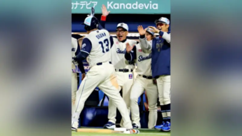 プロ野球、新記録の観客動員数達成　今季最多を更新