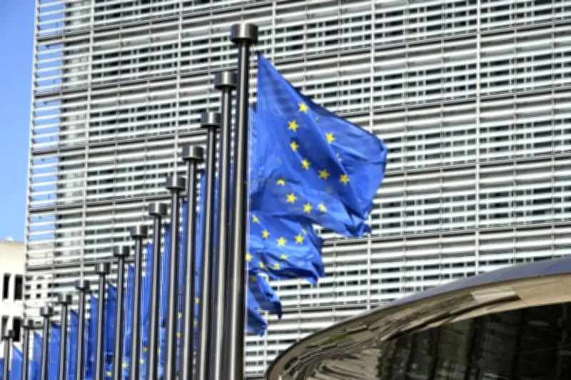 日本とEU、偽情報対策で初の実務者会合 中国やロシア念頭に連携強化