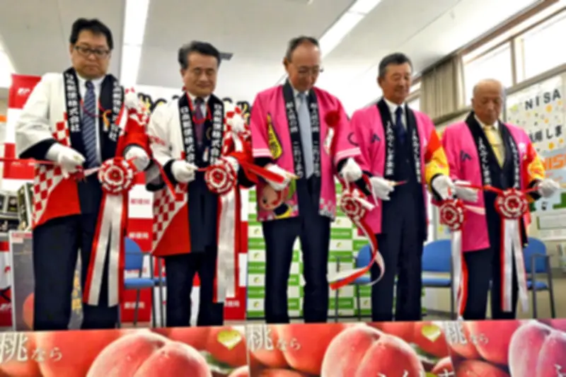 日本郵便とJAふくしま未来、献上桃の郷・桑折町のモモをカタログ販売開始