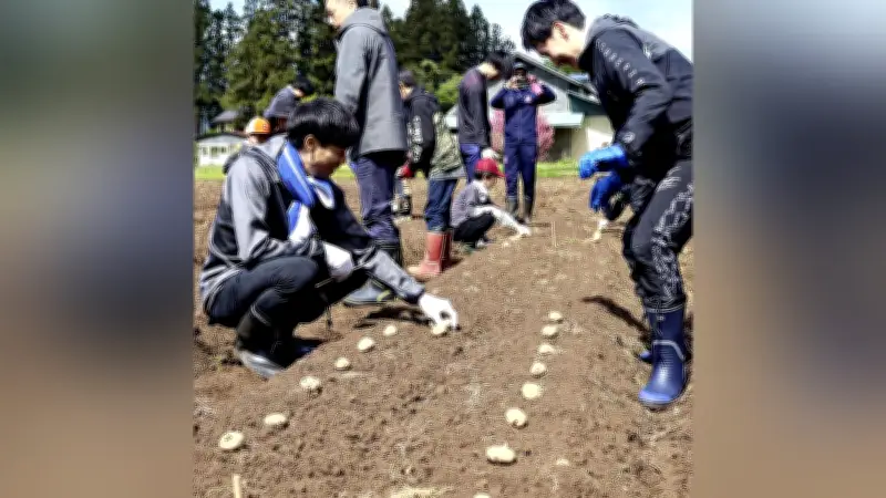 紫波町拠点「OWLS岩手」がVリーグ参戦、地域貢献と魅力発信へ