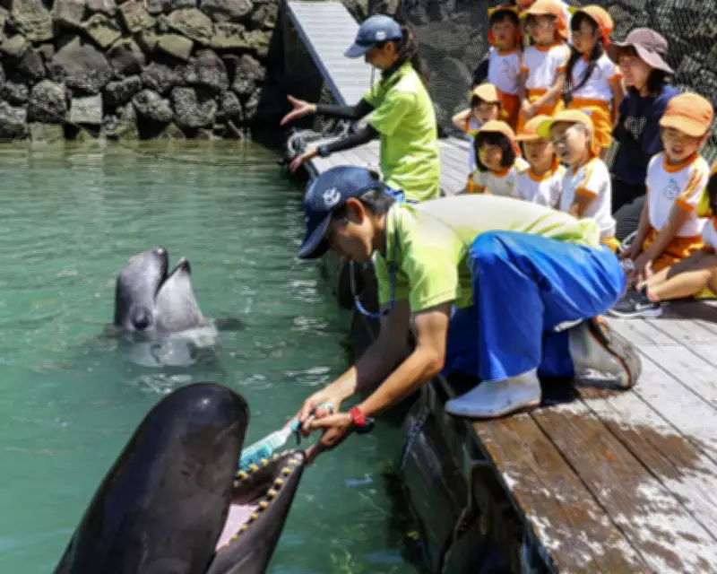 太地の博物館でクジラの歯磨き披露、洗車ブラシ使い健康PR