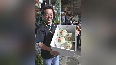 庄内産アンデスメロン初競り、最高値10万円 過去最高更新