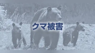 福島市でクマ襲撃、男女4人負傷 事業所や住宅地で相次ぐ