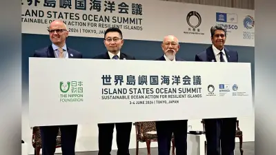 量子コンピュータ実用化へ新たな一歩、東大が超伝導方式で世界記録