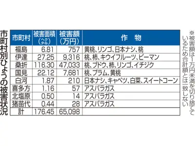 ひょう被害拡大で福島県、農業者への利子補助など支援策を最終調整