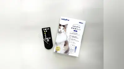 日東紡績、飼い猫の健康管理アプリ「ネコプロ」開始 尿検査で腎臓病など早期発見