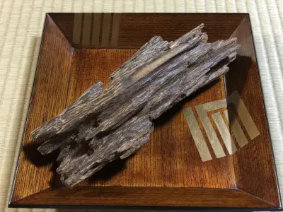 東洋経済の写真特集：東京の新名所が続々登場