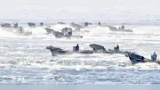 北方領土・貝殻島でコンブ漁始まる、180隻が出航