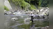 宮崎県・五ヶ瀬川でアユ漁解禁、20センチ超えに「塩焼きで食べたい」