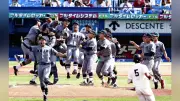 プロ野球交流戦、今季初の観客動員数が前年比20％増を記録