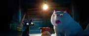 ディズニー＆ピクサー新作『水の都のネロ』2027年春公開、黒猫が主人公のファンタジー