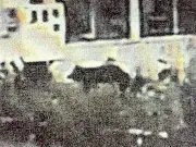 福島県いわき市でクマ目撃相次ぐ、小中学校6校が休校に