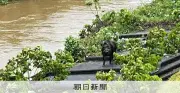 台風6号、三重・尾鷲で積算雨量561ミリ 増水した川にイノシシ親子も