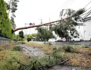 台風6号、茨城県で6月最大の雨量と風速 つくばで倒木も