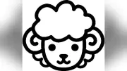 6月7日～13日の運勢：全星座占いとラッキーカラー