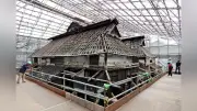 国重文「旧大國家住宅」が学生の研究の場に、修復作業間近で公開