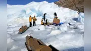南極の氷に刻まれる歴史…コウテイペンギンの危機と温暖化への思い
