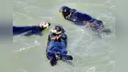 野生ラッコに旅人夢中、霧多布岬で愛らしい姿