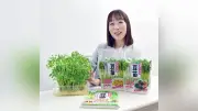 コスパ最強！豆苗の魅力再発見 再生栽培のコツと絶品レシピ