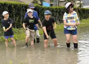 足立区唯一の水田で児童が田植え体験 泥だらけで歓声